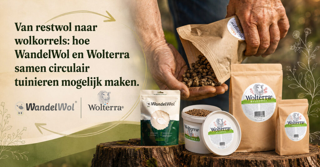 Wolkorrels uit restwol